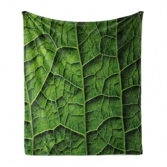 Green Soft Flannel Fleece Throw Blanket, Brazilian Rain Tropic Exotic Forest Tree Big Huge Leaf Macro Texture Artwork Print, Cozy Plush for Indoor and Outdoor Use, 50" x 60", Dark Green, by Ambesonne