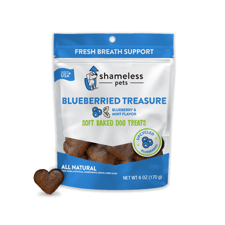 Walmart For Shameless Pets Blueberried Treasure Flavor Soft Baked Treat For Dogs 6 Oz Bag Accuweather Shop