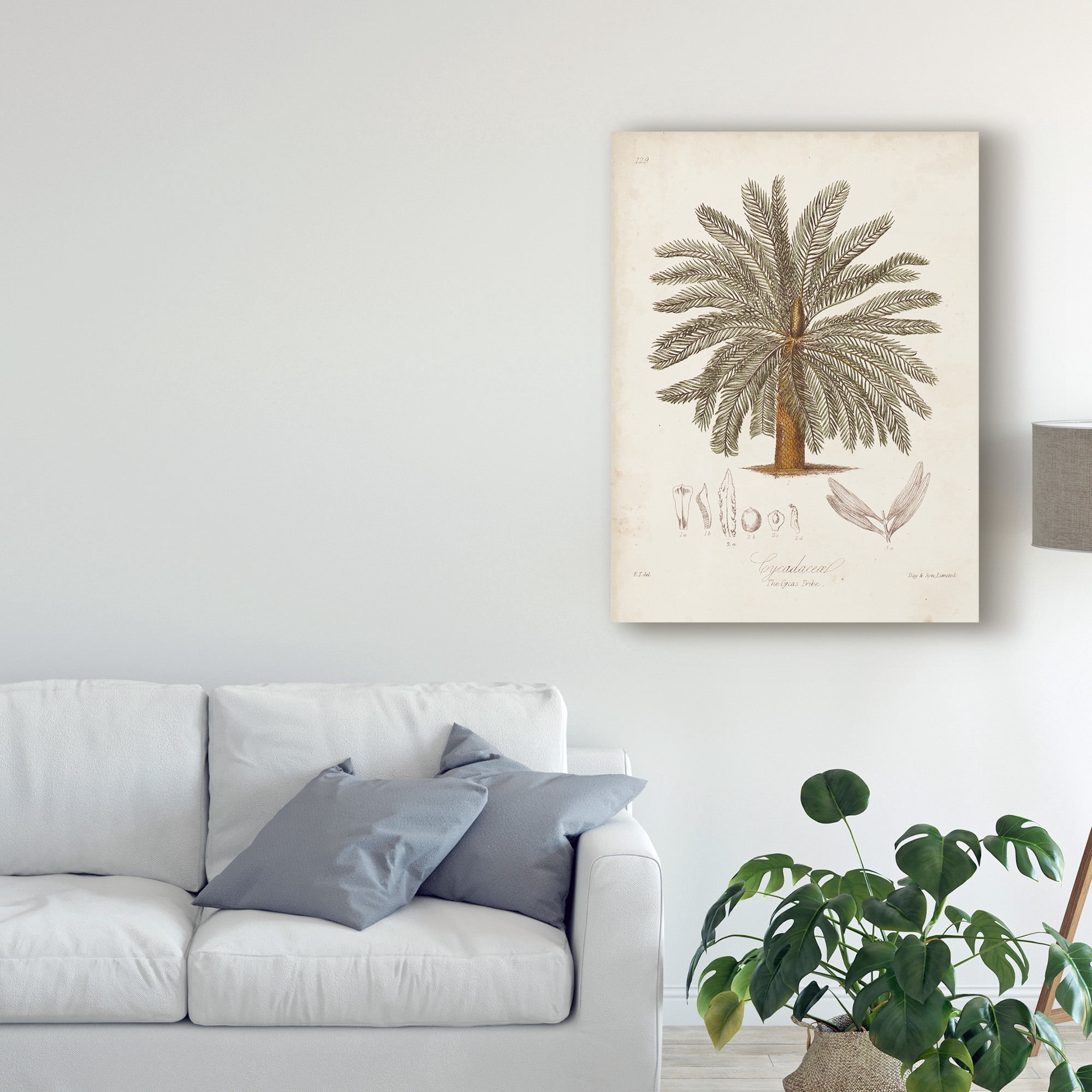 Trademark Fine Art 'Antique Tropical Palm I' Canvas Art by Elizabeth Twining