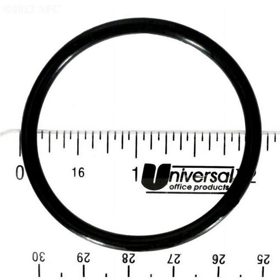 Hayward SPX1022CZ2 1.5 in. MPT Winter Plug with O-Ring for APCO2392 O125