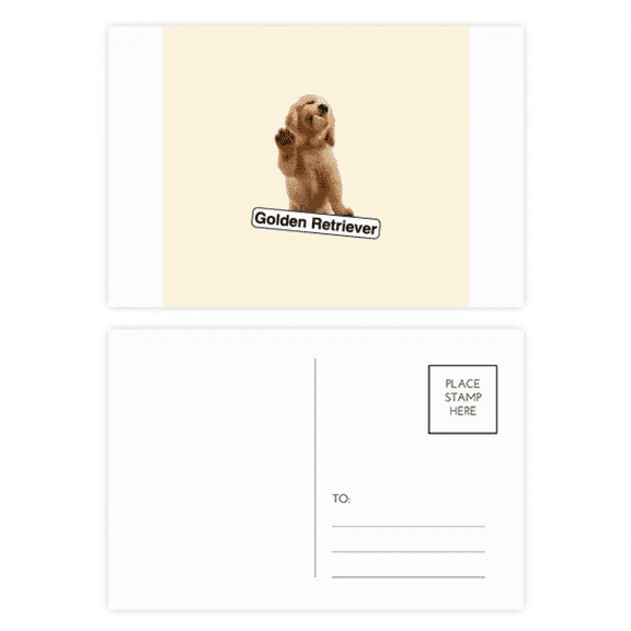 en retriever pet pose postcard set birthday mailing thanks greeting card