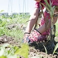 thumbnail image 3 of 2-Pair Age 6-9 Kids Gardening Gloves,6.5IN Children Yard Work Gloves,Soft Safety Outdoor Playing Gloves, 3 of 6