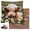 Highland Cow, variant on Latch Hook Kit for Adults, DIY Sea Turtle Crochet Cushion Cover with Yarn Hook Handmade Craft Present Beginner 17x17in