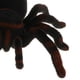 thumbnail image 5 of telemando RC Espeluznante Tarántula Broma Y Juguetes para Niños de Navidad de Halloween, 5 of 9