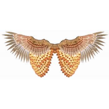 Feathered Womens Adult Bird Animal Costume Accessory Owl Wing