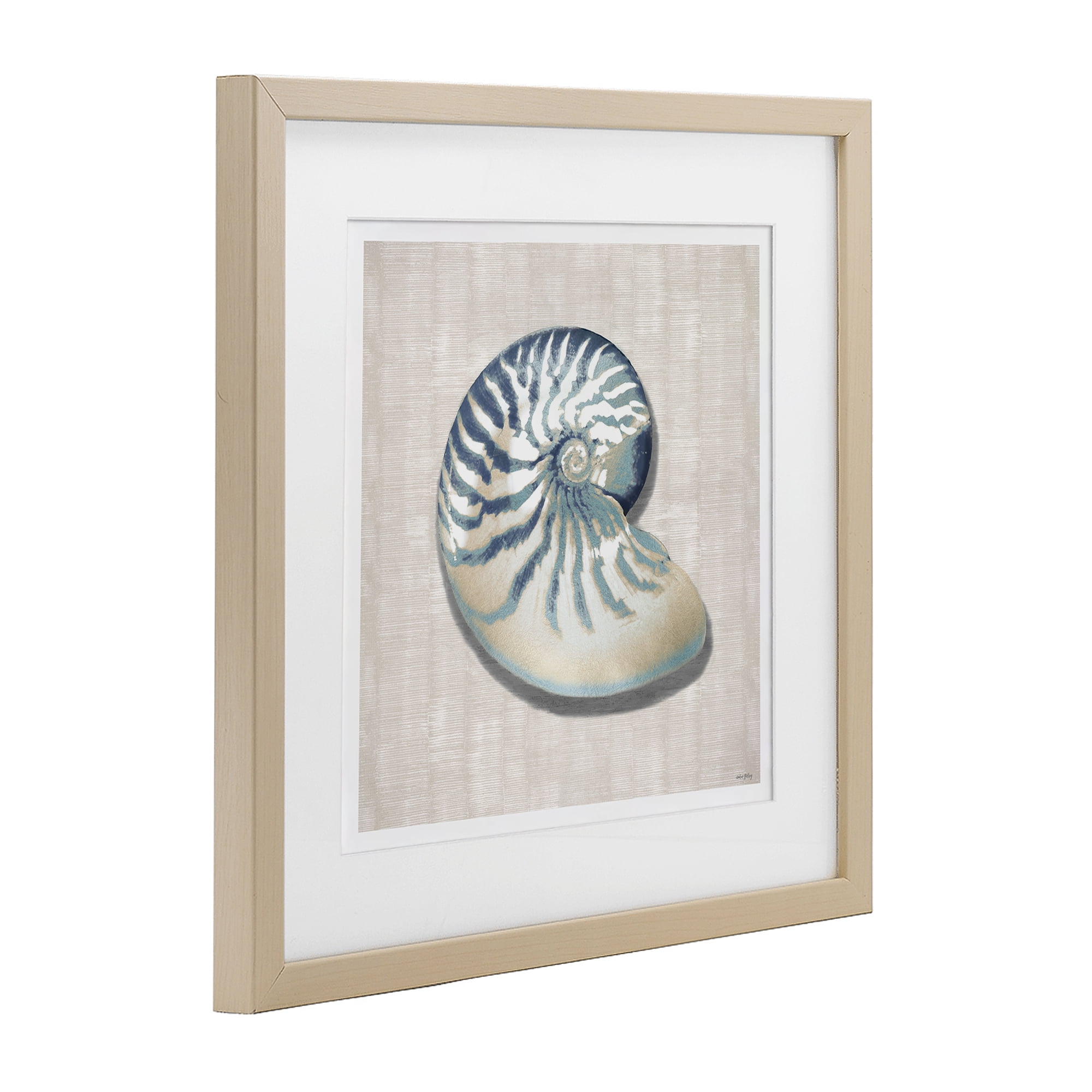 Stupell Industries Nautilus Shell in Misty Blue Birch Framed Print Under Glass, design by Amber Sterling