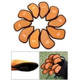 thumbnail image 4 of Juego de Fundas de Hierro para Golf Cola 10 Piezas Cubiertas de la cabeza del club de golf naranja, 4 of 8