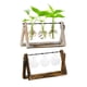 thumbnail image 3 of Planta Hidropónica Florero Transparente Marco De Madera Mesa Decorativa Vidrio Transparente Contenedor De Flores Bonsai Planta Decoración Florero Minnieouse HA039933-06, 3 of 6