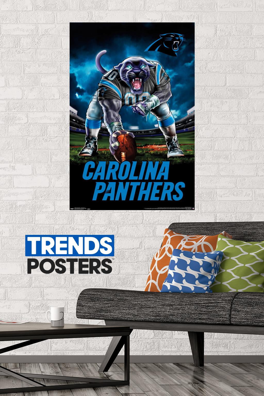 NFL Carolina Panthers - 3 Point Stance 19