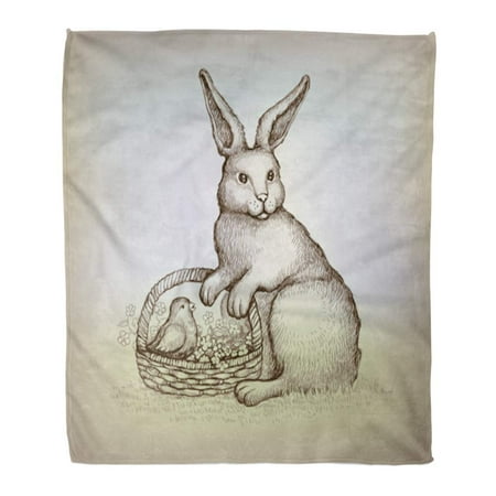 Bunny Rabbit Area Rugs ASHLEIGH 58x80 inch Super Soft Throw Blanket Blue Hare Easter Vintage of Bunny Rabbit Drawing Antique Artistic Basket Bird Home Decorative Flannel Velvet Plush Blanket ()