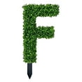 thumbnail image 2 of REK Surprise Yard Decorations: 3D Word 3D Word Garden Lifelike 3D English Ghostly 3D, 2 of 5