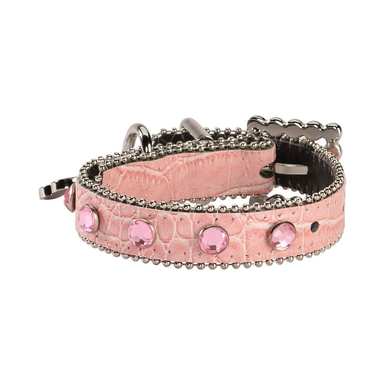 Blazin roxx dog collars 2025
