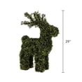 thumbnail image 5 of My Texas House Boxwood Deer Topiary Christmas Decoration, Green, 29", 5 of 5