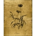 thumbnail image 2 of Donovan, Kelly 26x32 White Modern Wood Framed Museum Art Print Titled - Gold Sketch Botanical I, 2 of 4