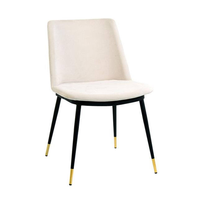 Evora Cream Velvet Chair Gold Legs Set of 2 by TOV Furniture
