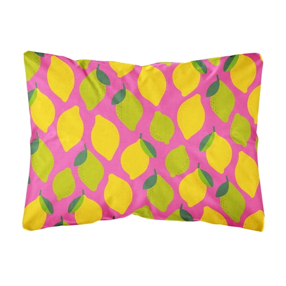 Lemons and Limes on Pink Canvas Fabric Decorative Pillow