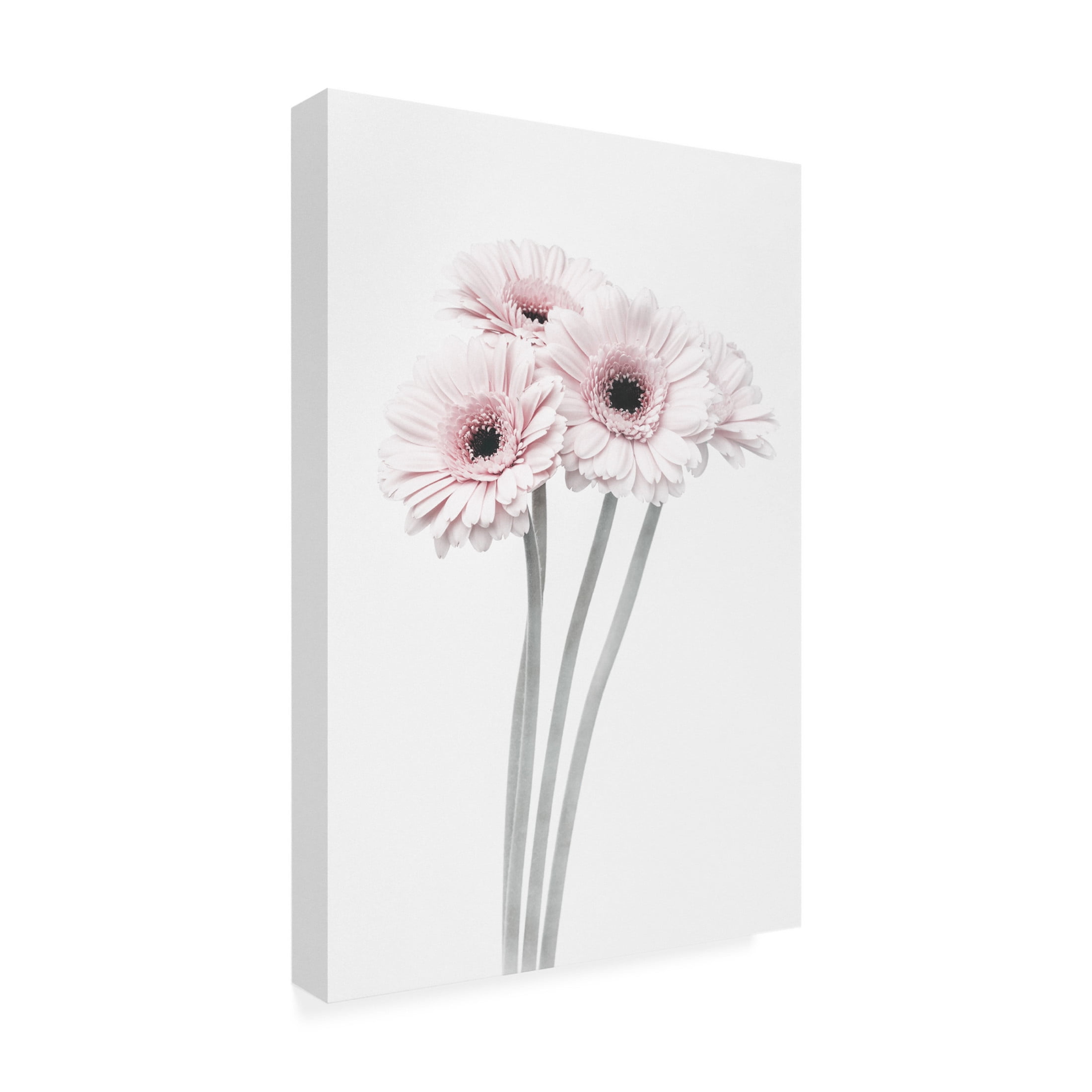 Trademark Fine Art Pictufy Studio III Pink Flowers Canvas Wall Art