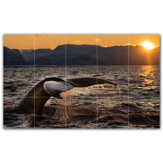 Picture-Tiles.com: Whale Ceramic Tile Wall Mural WAL501185-53S. 21.25"W x 12.75"H using (15) 4.25" x 4.25" Ceramic Tiles-Satin Finish