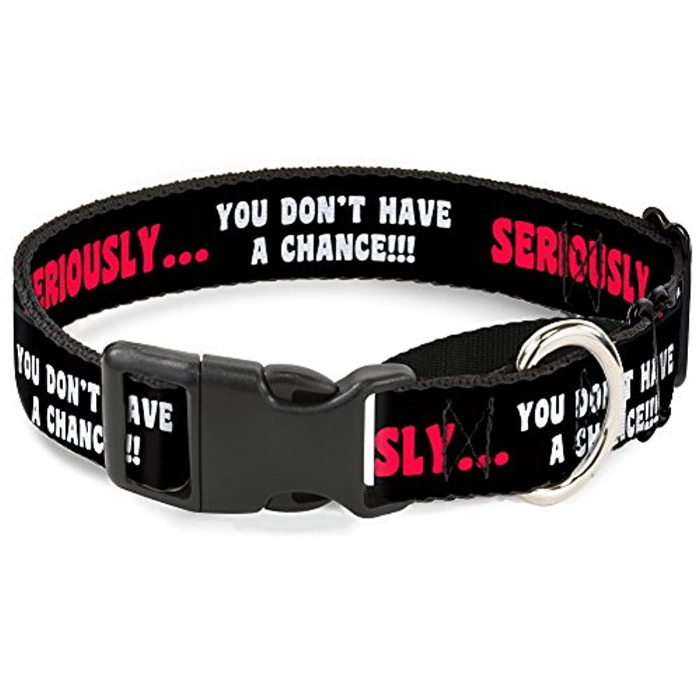 Buckle-Down MGC-W34541-L Seriously…You Don't Have A Chance Black Red White Martingale Dog Collar