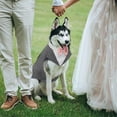 thumbnail image 5 of HQREA Large Medium Dog Tuxedo Suit Formal Pet Wedding Party Suit Puppy Prince Shirt with Bow Tie, 5 of 7