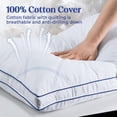 thumbnail image 2 of Juego de 2 almohadas Feather Down Puredown Queen Size, 2 of 5