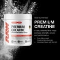 thumbnail image 2 of RAW Nutrition Essential 100% Pure Creatine Monohydrate Powder, Unflavored, 50 Servings, 2 of 8