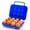 Blue, variant on Hesxuno Outdoor Plastic Portable Camping 12 Eggs Carrier Container Case Eggs Carrier Holder Eggs Storage Box Case With Handle