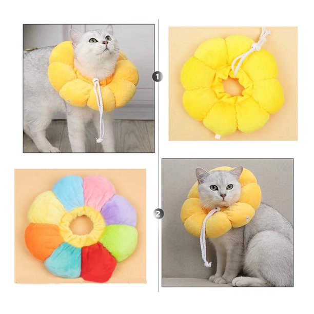 Pet Elizabeth Circle Cat Grey curativo médico antiguo antiguo Ground Sun Collar collar Color: Amarillo y color (XS)