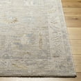 thumbnail image 3 of Boutique Rugs Ashra Traditional Runner Rug - Lambswool, Cloud Gray, Nutmeg - 2'7" x 10' Runner, 3 of 12