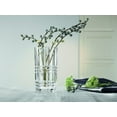 thumbnail image 4 of Nachtmann Square 11-Inch Crystal Vase, 4 of 6