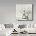 thumbnail image 3 of Trademark Fine Art 'Pussy Willow Still Life Gray Pots Shiplap' Canvas Art by Julia Purinton, 3 of 3