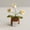 White, variant on Handmade Crochet Potted Plant, 6 Heads Gradient Pink Forget Me Not, 1 Piece Emotional Support Knitted Doll Decor, for Home Desk Office Decor Car Ornament Gift