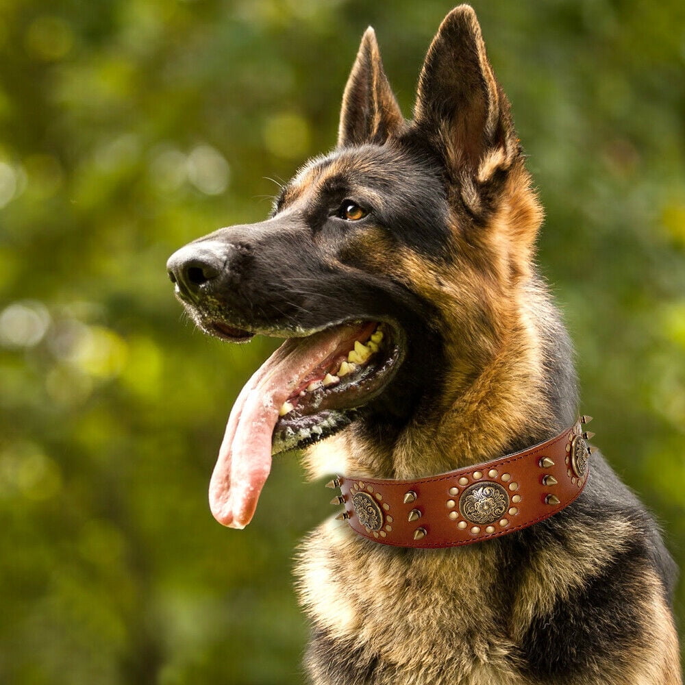 Beirui Luxury Spike Studded Genuine Leather Dog Collar Durable Adjustable for Medium Large Breed Doberman Pitbull German Shepherd L XL