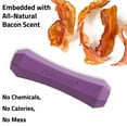 thumbnail image 4 of Playology Dog Toys | Squeaky & Durable Chew Stick, Bacon Scented Toy - Medium, 4 of 6