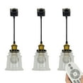 thumbnail image 1 of FSLiving Remote Control Pendant Light J-Type Track Ceiling Light w/Clear Glass Shade Dimmable and Color Changing Track Light Fixture for Gallery Kitchen Living Room Office,Track Not Included - 3 Pack, 1 of 8