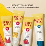 Burts Bees Rescue Lip Relief with Shea Butter and Echinacea, 100% Natural Origin, 2 Pack