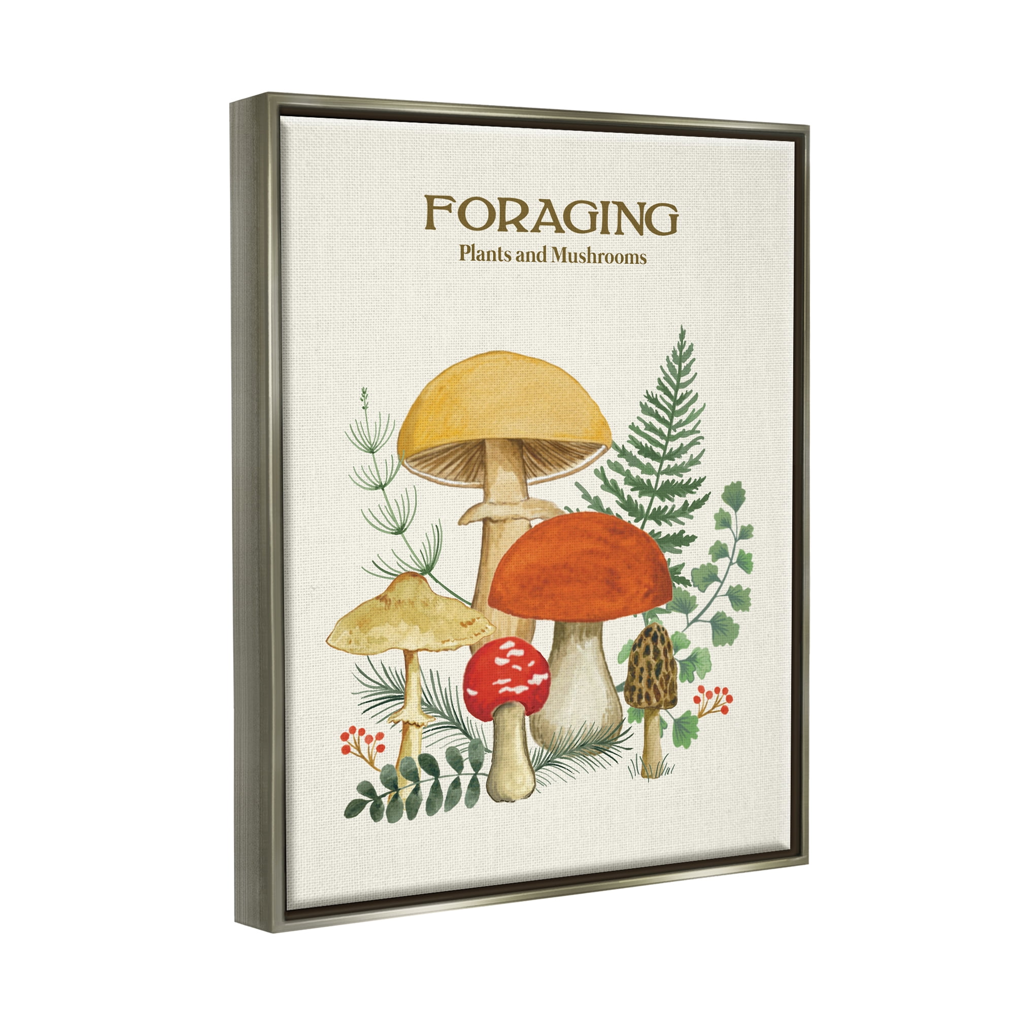 Stupell Industries Botanical Plants & Mushrooms Botanical & Floral Painting Gray Floater Framed Art Print Wall Art, 25 x 31