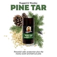 thumbnail image 2 of Desodorante Dr. Squatch de alquitrán de pino natural para hombre, 80 ml, paquete de 3, 2 of 6