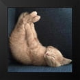 thumbnail image 2 of Nob, R. 15x15 Black Modern Framed Museum Art Print Titled - Cat Yoga VII, 2 of 5