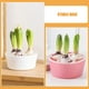thumbnail image 3 of Sembradora de bulbos de tulipán especializado 2 PCE Pequeña maceta hidropónica de jardín pequeño para bulbos de flores de tulipán y plantación de narciso con tres agujeros, 3 of 5