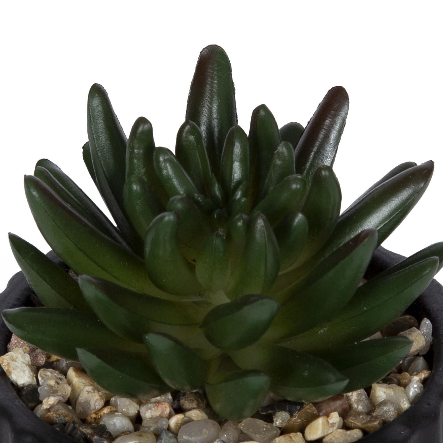 hometrends Cozby Faux Succulent in Black Pot
