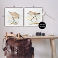 thumbnail image 4 of Stupell Industries Sea Birds on Shore Animals & Insects Painting Gallery Wrapped Canvas Art Print Wall Art, 24 x 24, Set of 2, 4 of 8