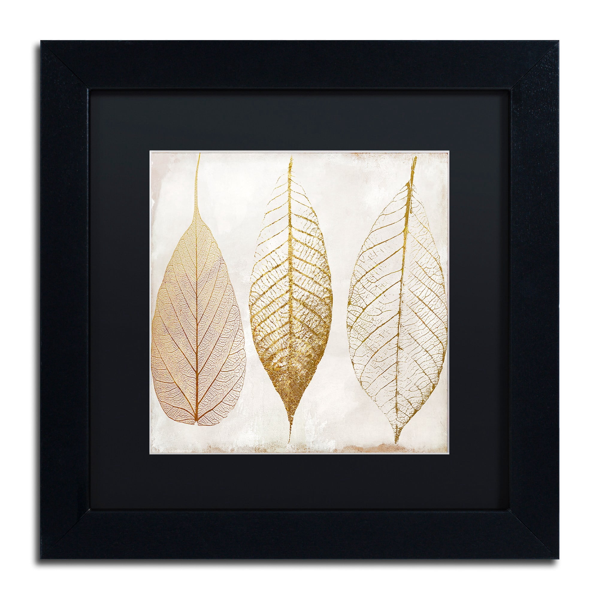 Trademark Fine Art "Fallen Gold II" Canvas Art by Color Bakery, Black Matte, Black Frame