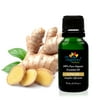 Organic Ginger Essential Oil 15ml (1/2 oz), 100% Pure Therapeutic Grade