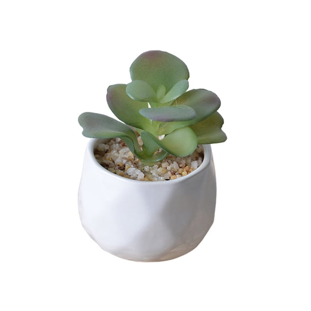 Moyic Bonsái de simulación suculenta Artificial, paisaje de flores falsas para sala de estar, hogar, jardín, oficina, suministros de Type3 NO3