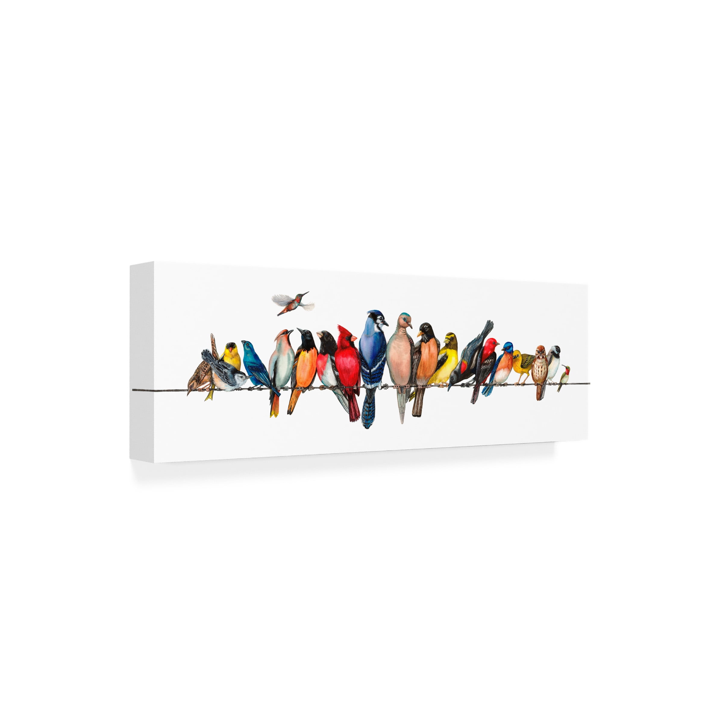 Trademark Fine Art Wendy Russell Large Bird Menagerie Ii Canvas Wall Art - 16x47