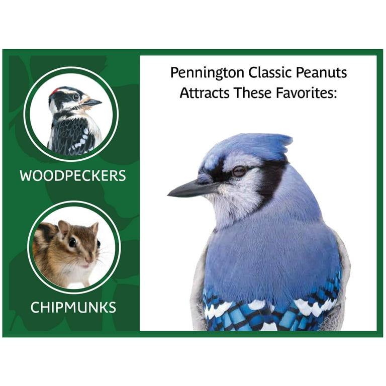 Pennington Classic In Shell Peanuts Wild Bird and Wildlife Feed, 5 lb. Bag Pennington Classic In Shell Peanuts Wild Bird and Wildlife Feed, 5 lb. Bag