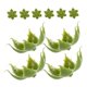 thumbnail image 5 of unbranded 100Ud Calices Falsos Para Ramos De Flores Para De Bodas Y Proyectos DIY, 5 of 8