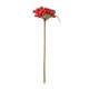 thumbnail image 1 of Nvzi 11,4 pulgadas, 10 piezas de bayas navideñas para manualidades, acebo de otoño, bayas artificiales de color burdeos, guirnaldas de bricolaje, decoración otoñal para el hogar (rojo), 1 of 4