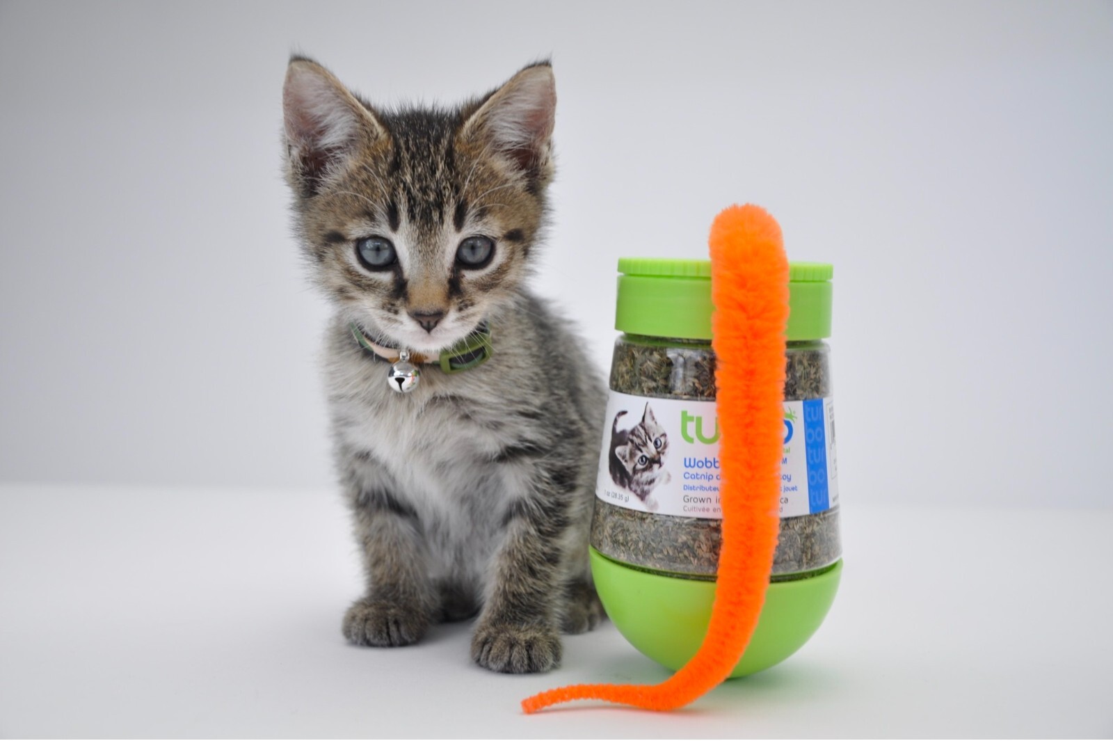 Cat Toy Interactive Catnip Dispensing Feather Top Wobble Bottle Feline Kitty Fun (One Wobble Bottle)